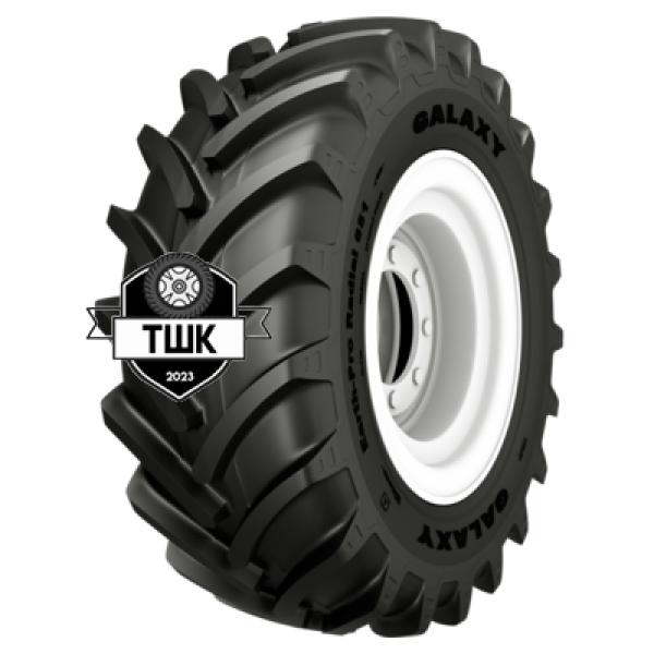 440/65R24 135D Earth-Pro Radial 651 R-1W TL ИНДИЯ